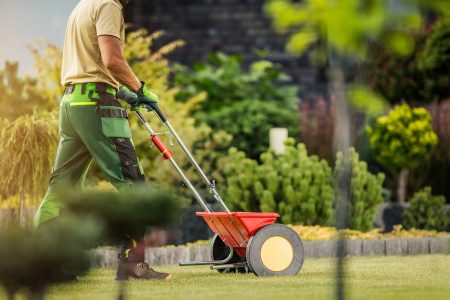 Gardener with Push Spreader Fertilizing Residential Grass Lawn