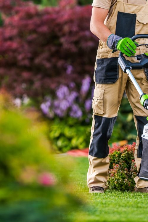 Lawn Mowing Service San Antonio | San Antonio Lawn Mowing